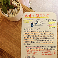 画像325