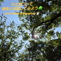 画像338