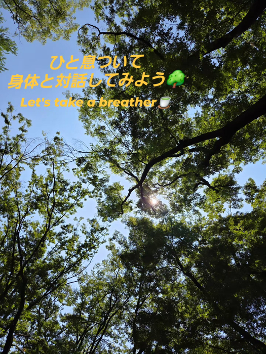 画像338