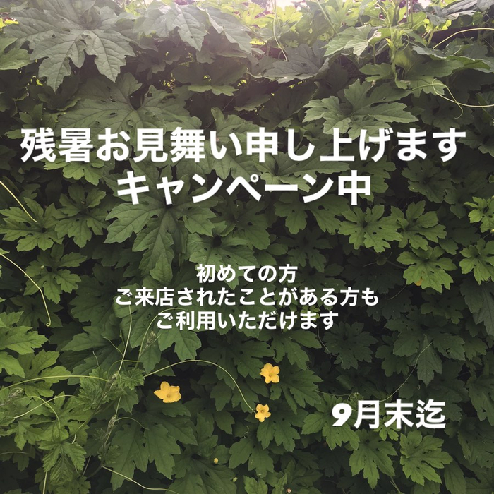 画像358