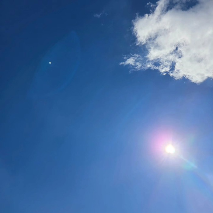 画像368